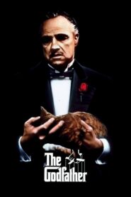 The Godfather (1972) English BluRay x264 AAC 1080p 720p ESub