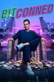 Bitconned (2024) Dual Audio Hindi ORG NF WEB-DL H264 AAC 1080p 720p 480p ESub