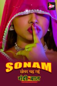 Gandii Baat-Sonam Chad Gayi (2019) S03 Hindi AltBalaji Hot Web Series WEB-DL H264 AAC 720p 480p ESub