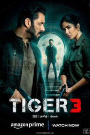 Tiger 3 (2023) Hindi AMZN WEB-DL H264 AAC 1080p 720p 480p ESub