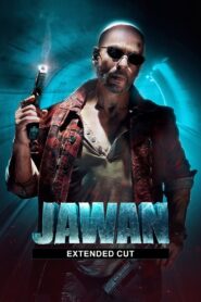 Jawan (2023) Extended Cut Hindi NF WEB-DL H264 AAC [1080p 720p 480p] ESub