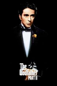 The Godfather Part II (1974) English BluRay x264 AAC 1080p 720p ESub