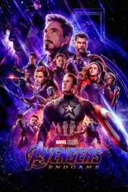 Avengers Endgame (2019) Dual Audio Hindi ORG BluRay x264 AAC 1080p 720p 480p ESub