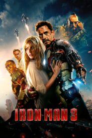 Iron Man 3 (2013) Dual Audio Hindi ORG BluRay x264 AAC 1080p 720p 480p ESub