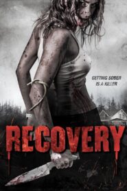 Recovery (2019) Dual Audio Hindi ORG WEB-DL H264 AAC 1080p 720p 480p ESub