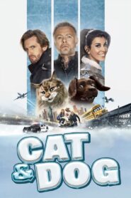 Cat and Dog (2024) Dual Audio [Hindi HQ-English] WEB-DL x264 AAC 1080p 720p 480p Download