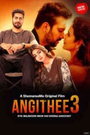 Angithee 3 (2024) Hindi SM WEB-DL H264 AAC 1080p 720p 480p Download