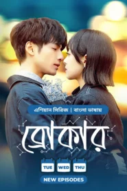 Broker (2024) S01E34-36 Bengali Dubbed ORG Chinese Drama WEB-DL H264 AAC 1080p 720p 480p Download