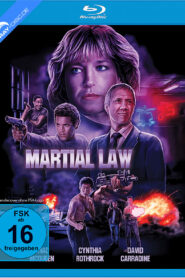 Martial Law (1990) Dual Audio Hindi ORG BluRay x264 AAC 1080p 720p 480p ESub