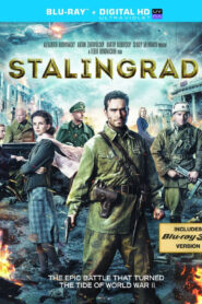 Stalingrad (2013) Dual Audio Hindi ORG BluRay x264 AAC 1080p 720p 480p ESub
