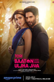 Teri Baaton Mein Aisa Uljha Jiya (2024) Hindi AMZN WEB-DL H264 AAC 1080p 720p 480p ESub