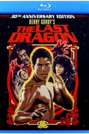 The Last Dragon (1985) Dual Audio Hindi ORG BluRay x264 AAC 1080p 720p 480p ESub