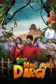 Boo Main Dargi (2024) Punjabi CHTV WEB-DL H264 AAC 1080p 720p 480p ESub