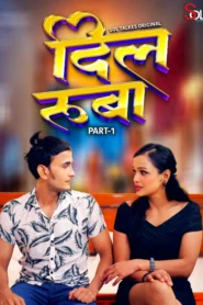 Dil Ruba (2024) S01E01-02 Hindi SolTalkies Hot Web Series 1080p Watch Online