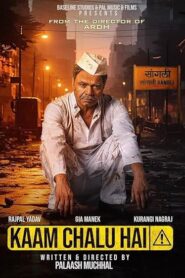 Kaam Chalu Hai (2024) Hindi Zee5 WEB-DL H264 AAC 2160p 1080p 720p ESub