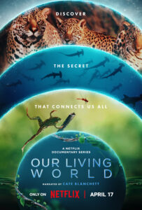 Our Living World (2024) S01 Dual Audio Hindi ORG NF WEB-DL H264 AAC 1080p 720p 480p ESub