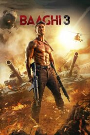 Baaghi 3 (2020) Hindi BluRay H2264 AAC 1080p 720p 480p ESub