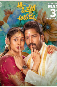 Aa Okkati Adakku (2024) Telugu WEB-DL H264 AAC 1080p 720p 480p ESub