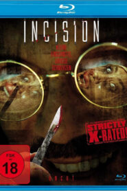 Incision (2020) Dual Audio [Hindi-English] BluRay H264 AAC 1080p 720p 480p ESub