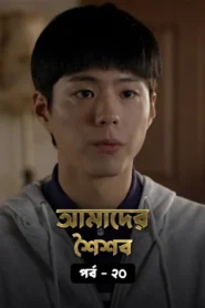 Reply 1988 (2015) S01E16-20 Bengali Dubbed ORG WEB-DL H264 AAC 1080p 720p 480p Download