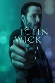 John Wick (2014) Dual Audio [Hindi-English] BluRay H264 AAC 1080p 720p 480p ESub