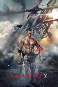 Baaghi 2 (2018) Hindi BluRay H2264 AAC 1080p 720p 480p ESub