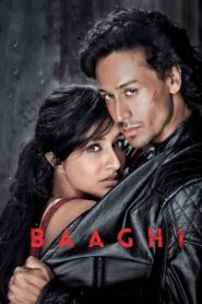 Baaghi (2016) Hindi BluRay H2264 AAC 1080p 720p 480p ESub