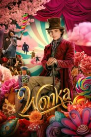 Wonka (2023) Dual Audio Hindi ORG BluRay H2264 AAC 1080p 720p 480p ESub