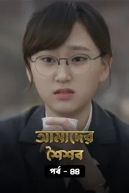 Reply 1988 (2015) S01E36-45 Bengali Dubbed ORG WEB-DL H264 AAC 1080p 720p 480p Download