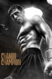 Chandu Champion (2024) Hindi AMZN WEB-DL DDP.5.1.H265 1080p 720p 480p ESub