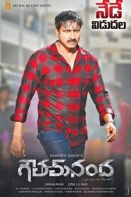 Goutham Nanda (2017) Hindi Dubbed ORG ZEE5 WEB-DL H264 AAC 1080p 720p 480p Download