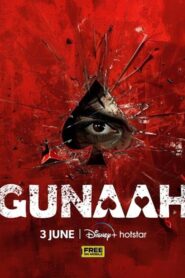 Gunaah (2024) S01E05-06 Hindi DSNP WEB-DL H264 AAC 1080p 720p 480p ESub