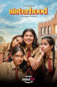 Sisterhood (2024) S01 Hindi AMZN WEB-DL H264 AAC 1080p 720p 480p ESub