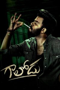 Gaalodu (2022) Uncut Dual Audio [Hindi-Telugu] WEB-DL H264 AAC 1080p 720p 480p ESub 1080p