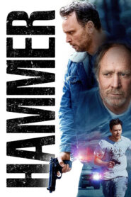 Hammer (2019) Dual Audio [Hindi-English] WEB-DL H264 AAC 1080p 720p 480p ESub