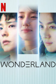 Wonderland (2024) Dual Audio [Hindi-Korean] Netflix WEB-DL H264 AAC 1080p 720p 480p ESub