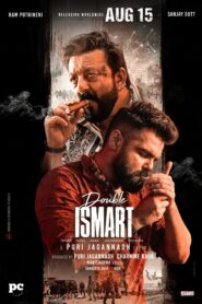 Double iSmart (2024) Hindi [Cleaned] WEB-DL H264 AAC 1080p 720p 480p Download