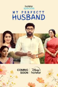 My Perfectt Husband (2024) S01 Hindi HS WEB-DL H264 AAC 1080p 720p 480p ESub