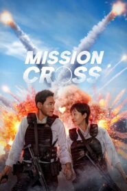 Mission Cross (2024) Dual Audio [Hindi-Korean] NetFlix WEB-DL H264 AAC 1080p 720p 480p ESub