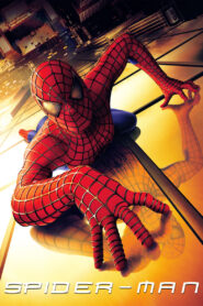 Spider-Man (2002) Dual Audio [Hindi-English] BluRay H264 AAC 1080p 720p 480p ESub