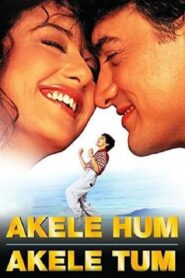 Akele Hum Akele Tum (1995) Hindi WEB-DL HEVC H264 AAC 1080p 720p 480p ESub