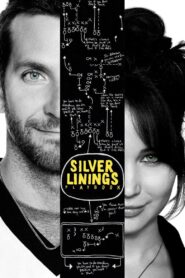 Silver Linings Playbook (2012) English BluRay H264 AAC 1080p 720p 480p Download