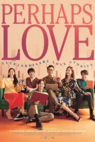 Perhaps Love (2021) Dual Audio [Hindi-Korean] AMZN WEB-DL H264 AAC 1080p 720p 480p ESub