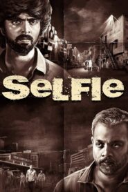 Selfie (2022) Uncut Dual Audio [Hindi-Tamil] WEB-DL x264 & x265(HEVC) 2160p 1080p 720p 480p ESub