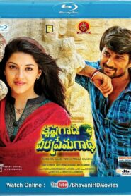 Krishna Gaadi Veera Prema Gaadha (2016) UNCUT Dual Audio [Hindi-Telugu] BluRay H264 AAC 1080p 720p 480p ESub