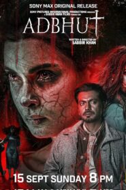 Adbhut (2024) Hindi HDTVRip x264 AAC 1080p 720p 480p Download