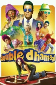 Double Dhamaal (2011) Hindi BluRay H264 AAC 1080p 720p 480p ESub