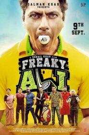 Freaky Ali (2016) Hindi AMZN WEB-DL H264 AAC 1080p 720p 480p ESub