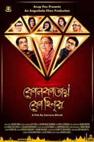 Kolkatay Kohinoor (2019) Bengali Hoichoi WEB-DL H264 AAC 1080p 720p 480p ESub