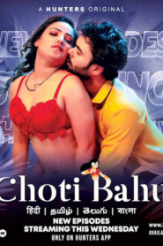 Choti Bahu (2023) S01 Hindi Hunter WEB-DL H264 AAC 1080p 720p 480p ESub